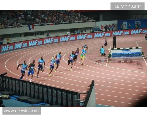 上海羽毛球队在钻石联赛中的辉煌成就与突破之路探秘