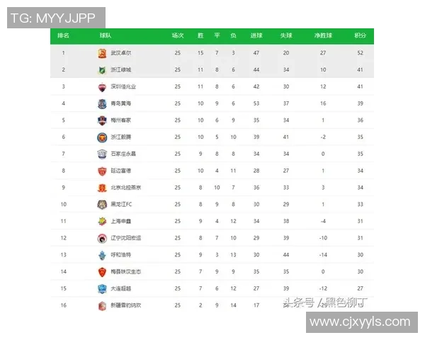 上海羽毛球队在选拔赛中以60分高居积分榜首位展现强劲实力